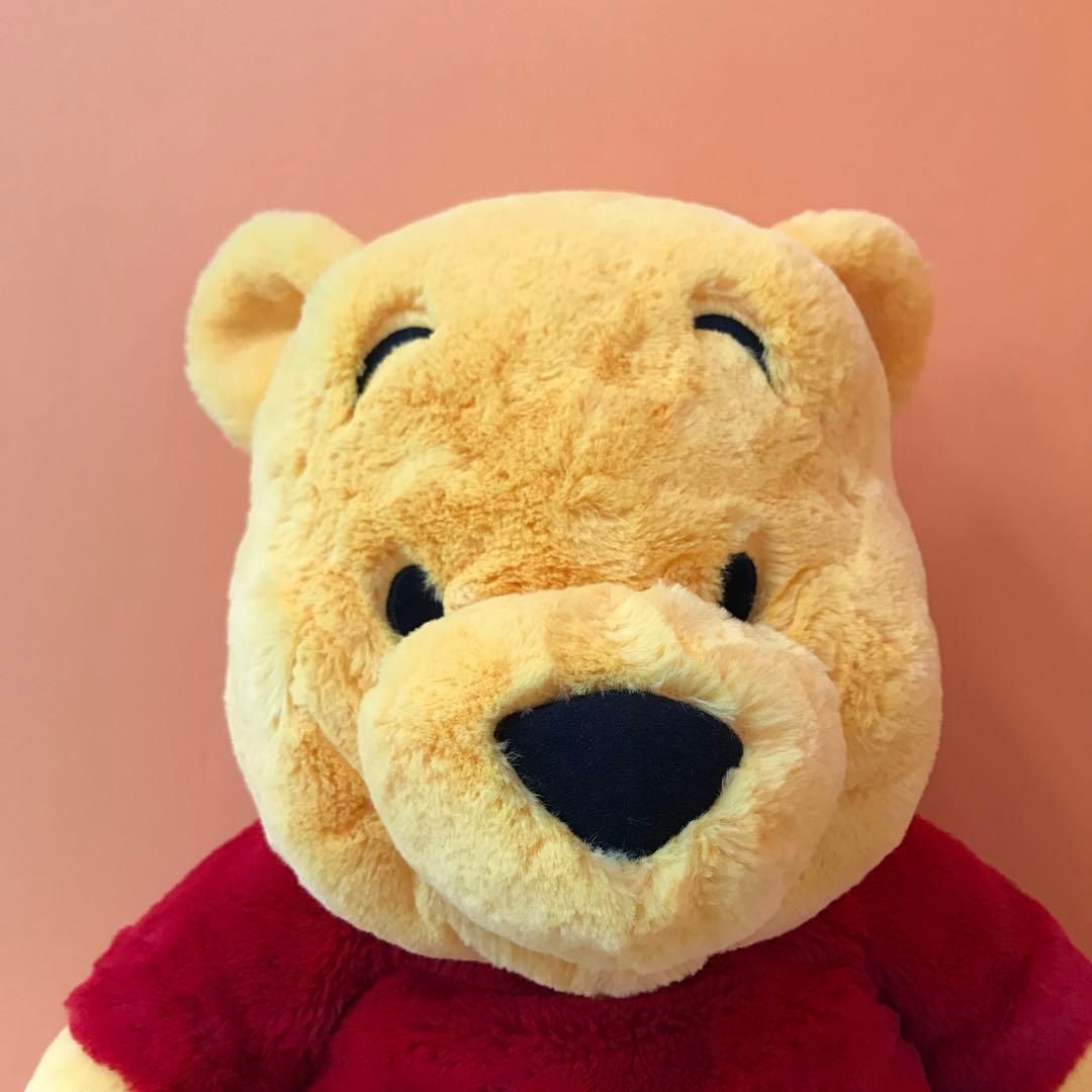 東京ディズニーリゾート くまのプーさん フラッフィープラッシー