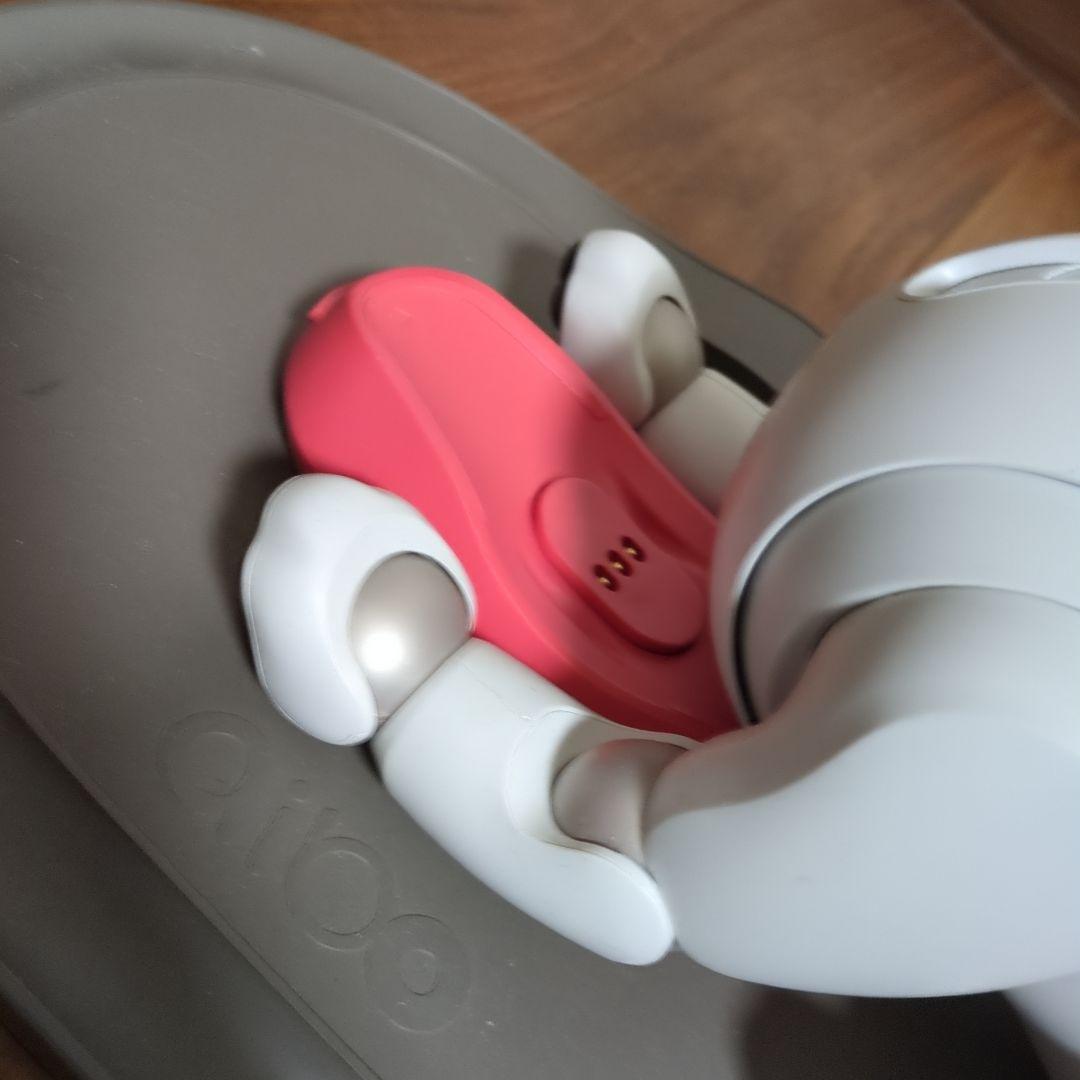 SONY aibo　ERS-1000　ジャンク品