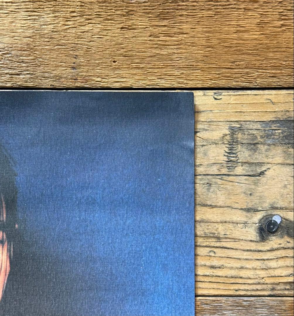 非売品】 Björk ビョーク DEBUT デビュー B3ポスター プロモ Björk