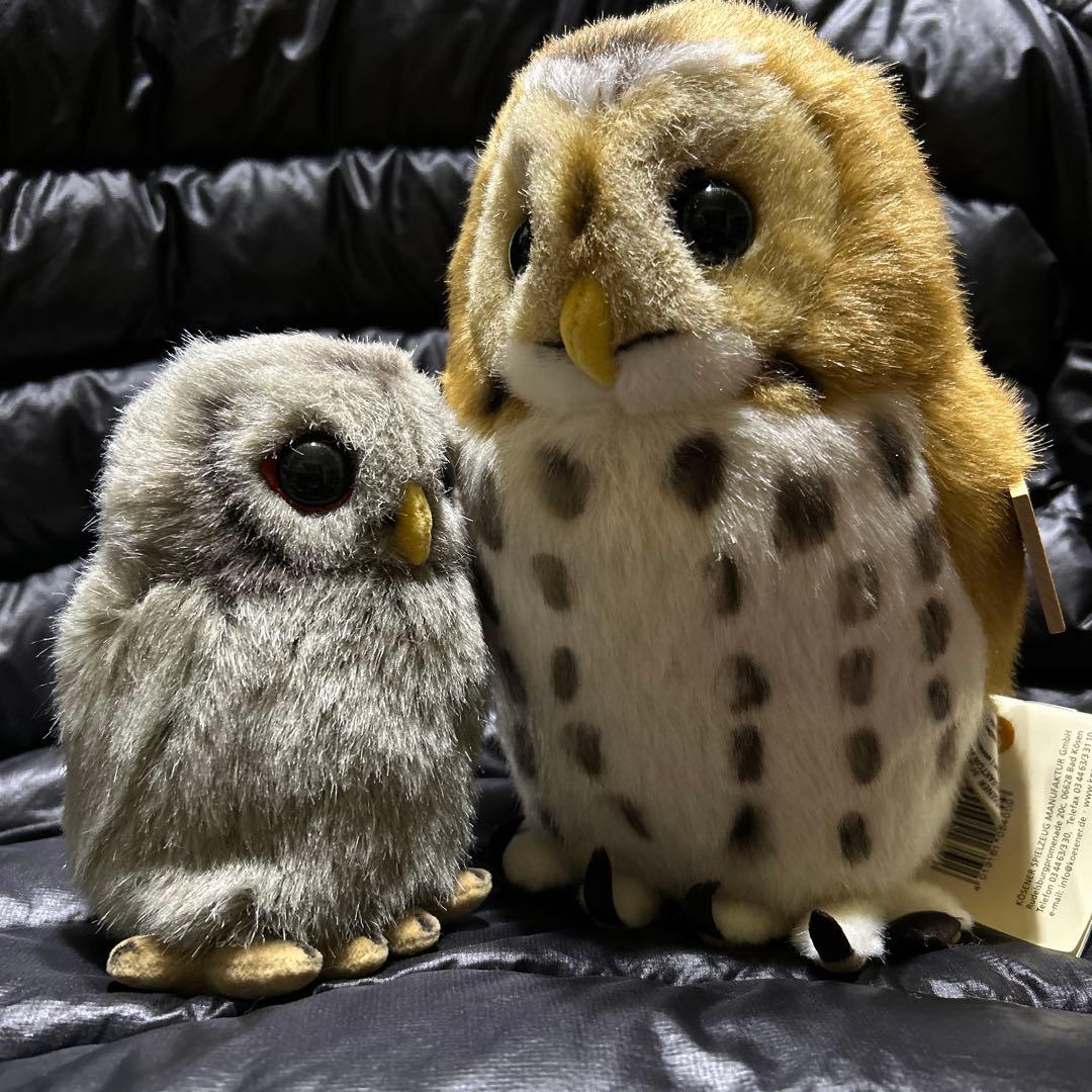 KOSEN ぬいぐるみ　モリフクロウ　親子　タグ付き❣️