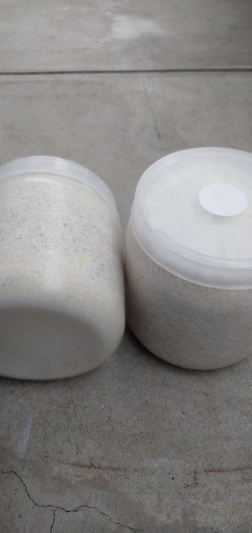 カワラ菌糸ビン800   12本セット　産卵最適　2カ月保存 カワラ菌糸ビン800 12本セット 産卵最適 2カ月保存 【公式通販】