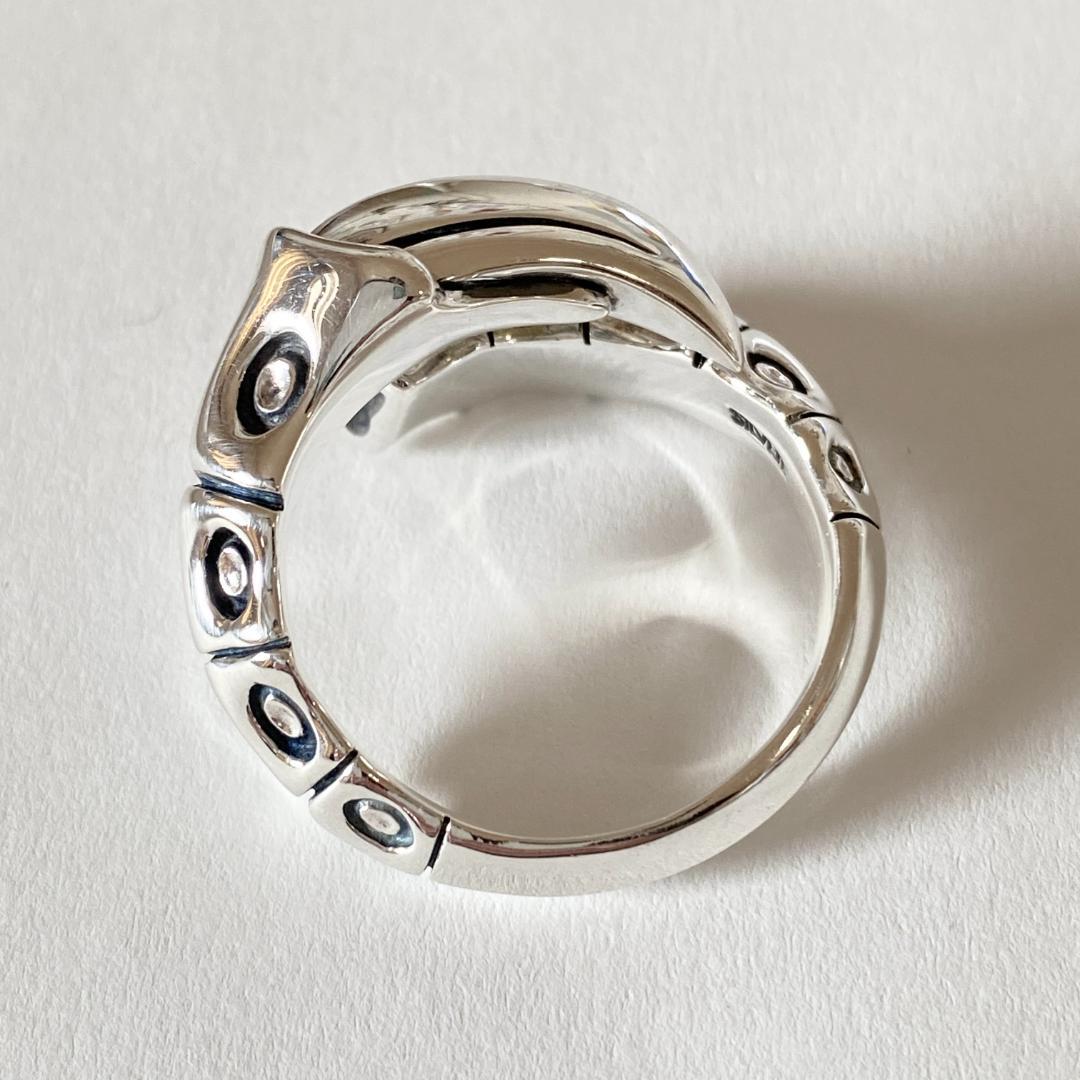 Bloody Maryブラッディマリー スシュムナー クローリング