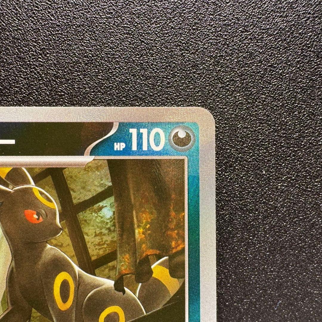 テラスタルフェスex/ブラッキー/マスターボールミラー