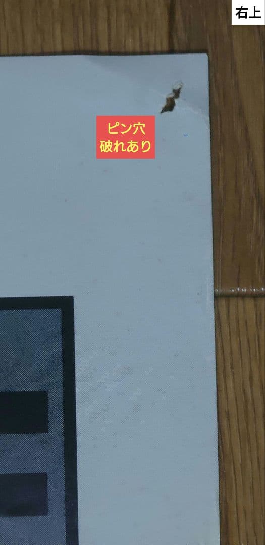 【非売品】カプコン ストリートファイターZERO B1ポスター