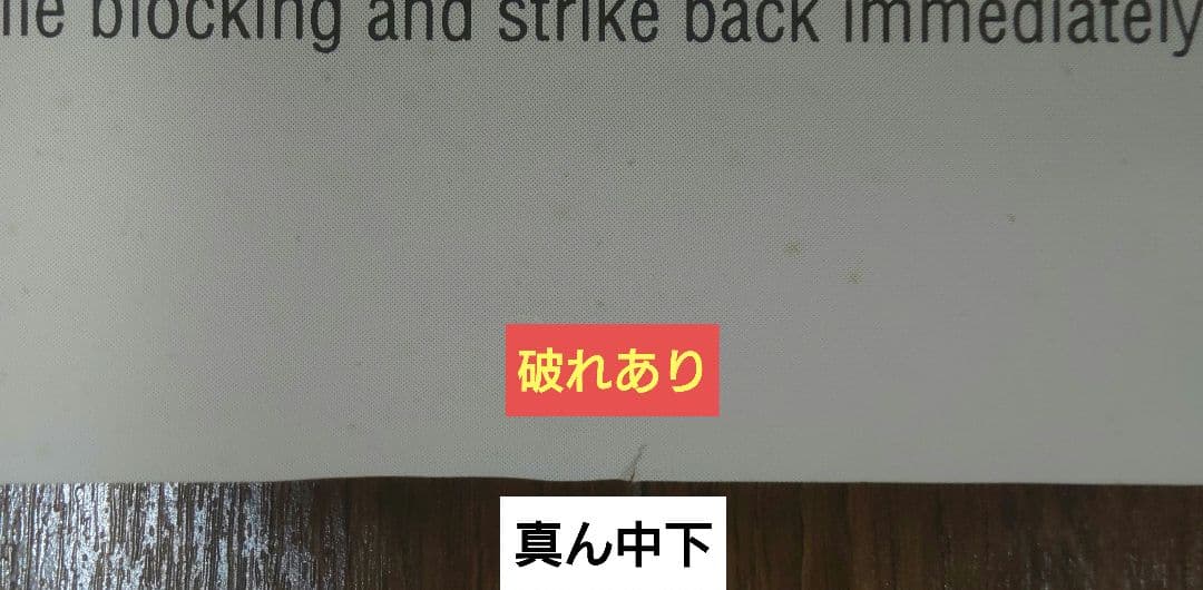 【非売品】カプコン ストリートファイターZERO B1ポスター