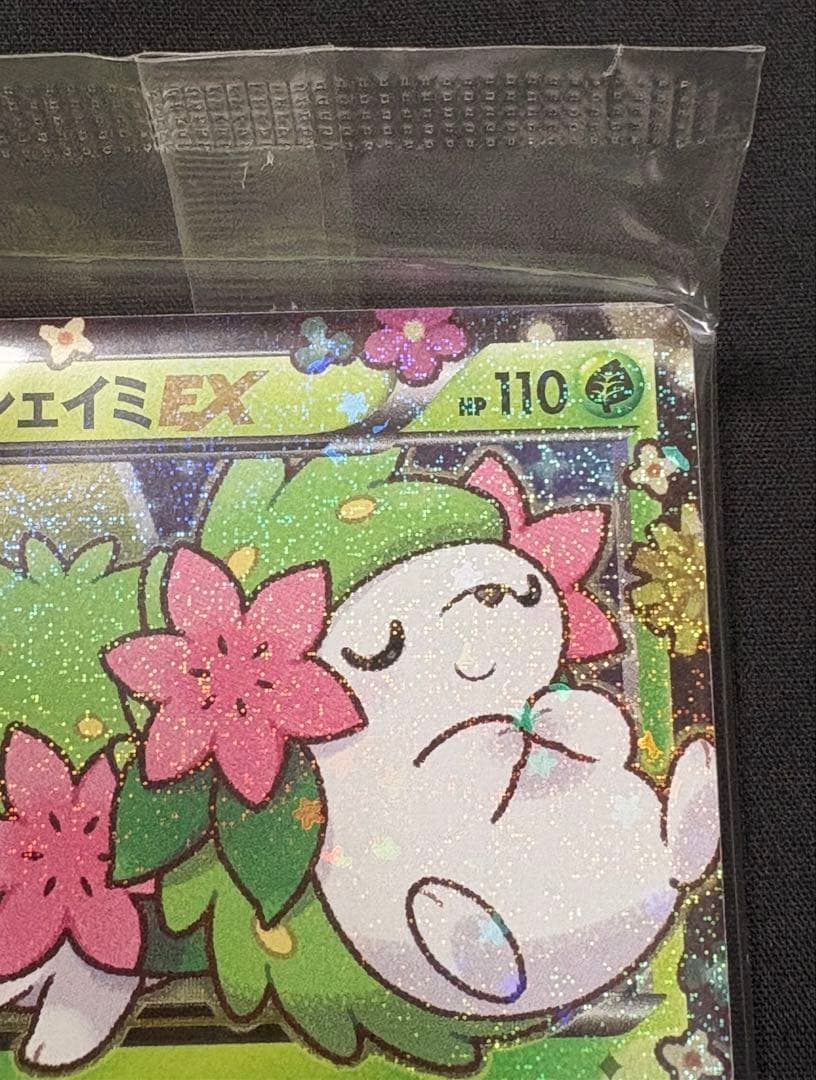 ポケカ　シェイミEX　ポケキュン　プロモカード