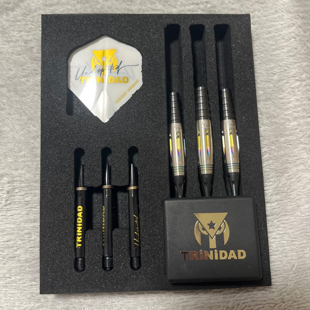 ダーツ　AKARI レガシー