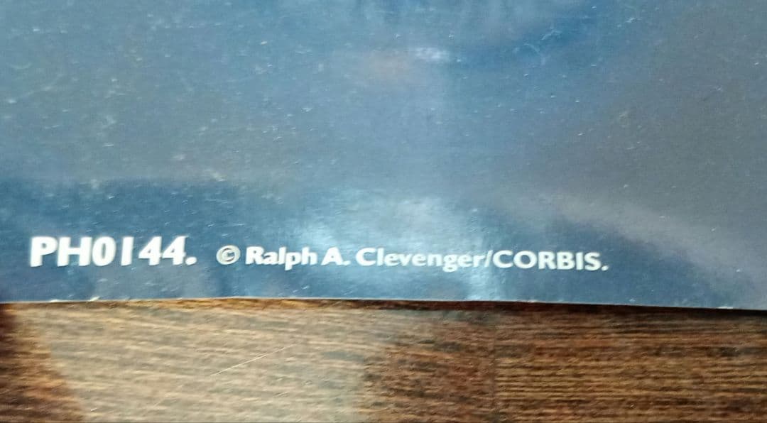 ralph a clevengers 氷山のポスターart美術グリーンランド自然