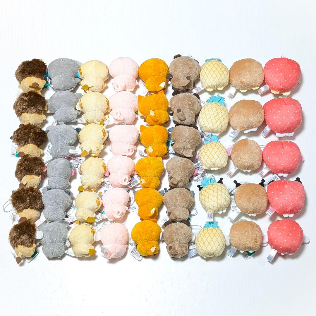 サンリオ どうぶつきぐるみ マスコット フルーツ着ぐるみマスコット 51種セット