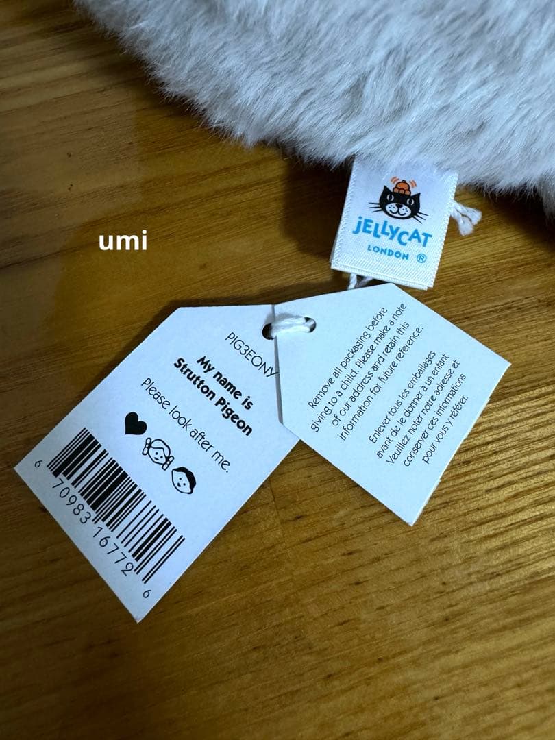 yページ　ジェリーキャット Strutton Pigeon新品