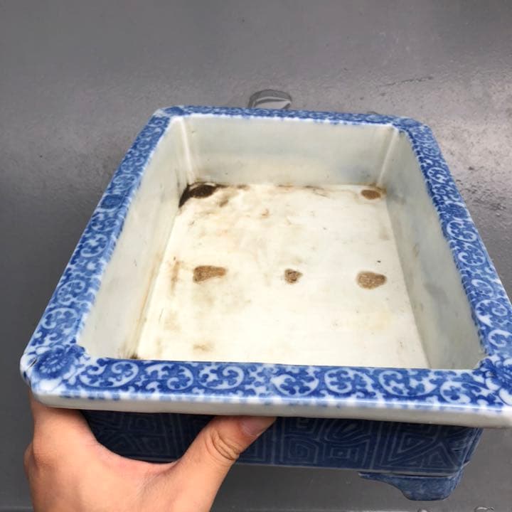 水盤 尾張焼 瀨戶焼 盆栽鉢 植木鉢 日本古鉢