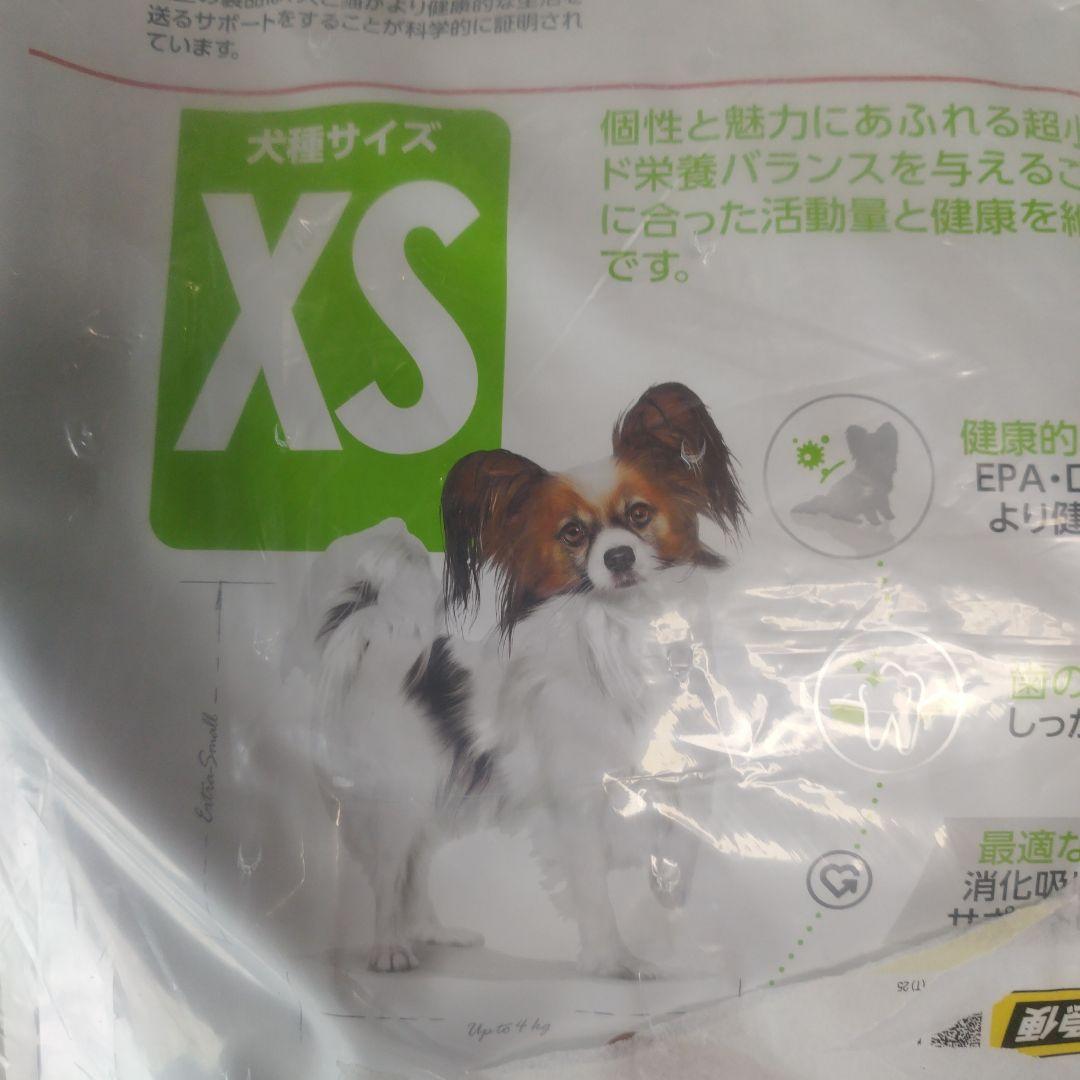 ロイヤルカナンROYAL CANIN 超小型犬 成犬用 10kg
