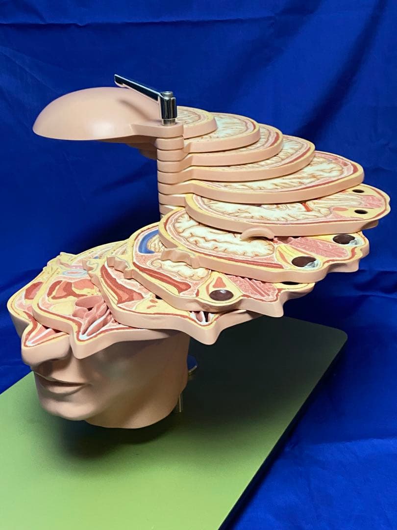 二宮哲男 油彩 裸婦画 人物画 F1号 直筆 肉筆