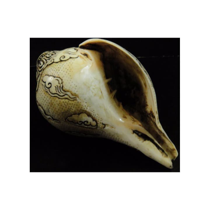 ◇チベット密教法具 法螺貝（シャンカ）パドゥマ・パーニ（蓮華手観音