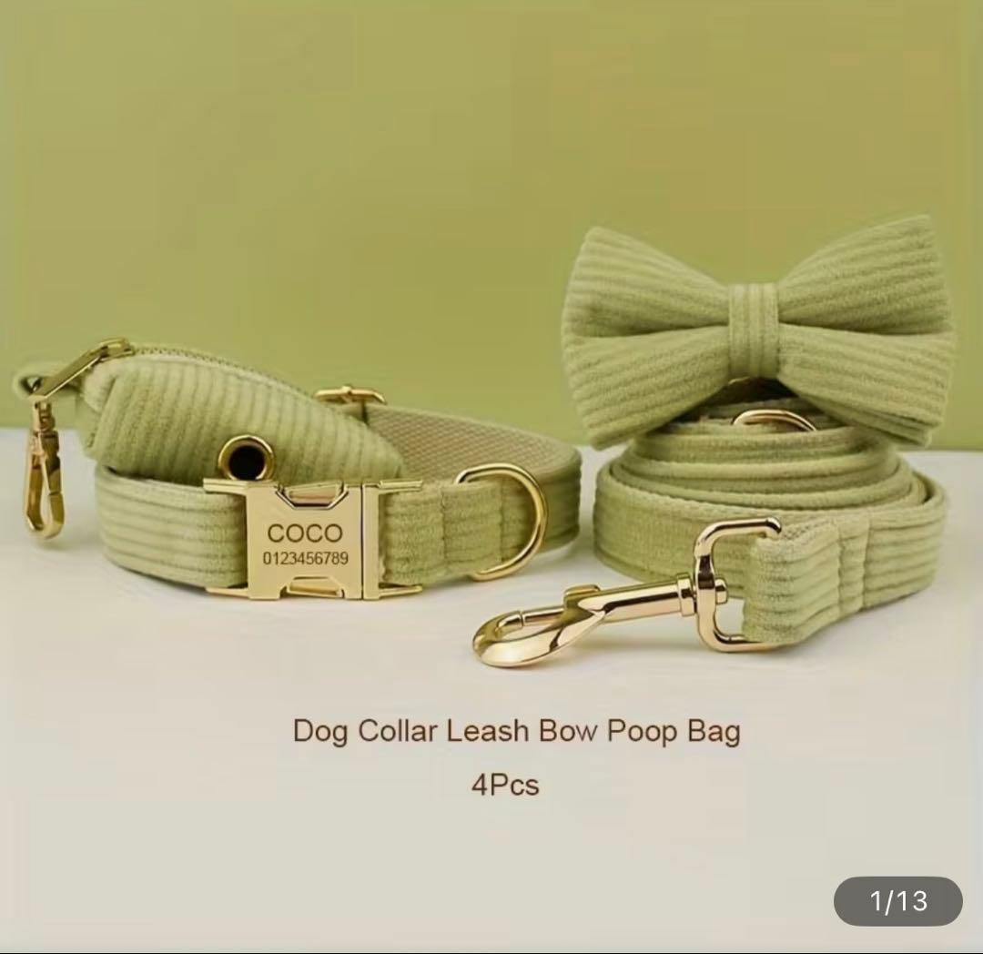 オーダー 名前 首輪 ミントグリーン ハーネス セット 犬 コーデュロイ