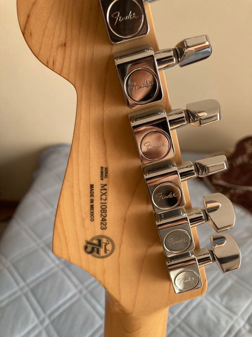 10月中 fender player stratocaster sunburst 下呂市金山産 新潟県産米