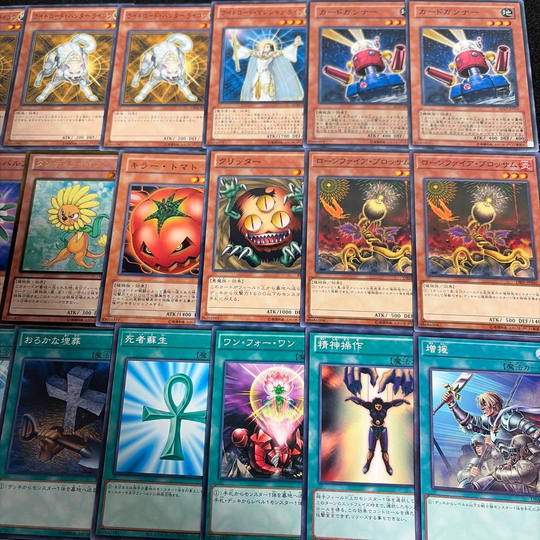 遊戯王 ゲートボール 1103 環境 ジャンド デブリダンディ 構築済み