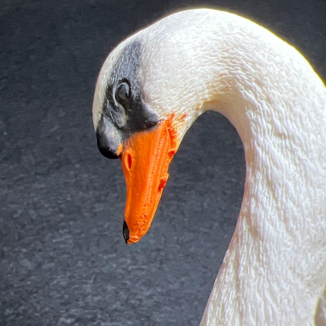 専用リュージュSwanLake白鳥の湖オルゴール　稼動品　東Y8-0106☆1F