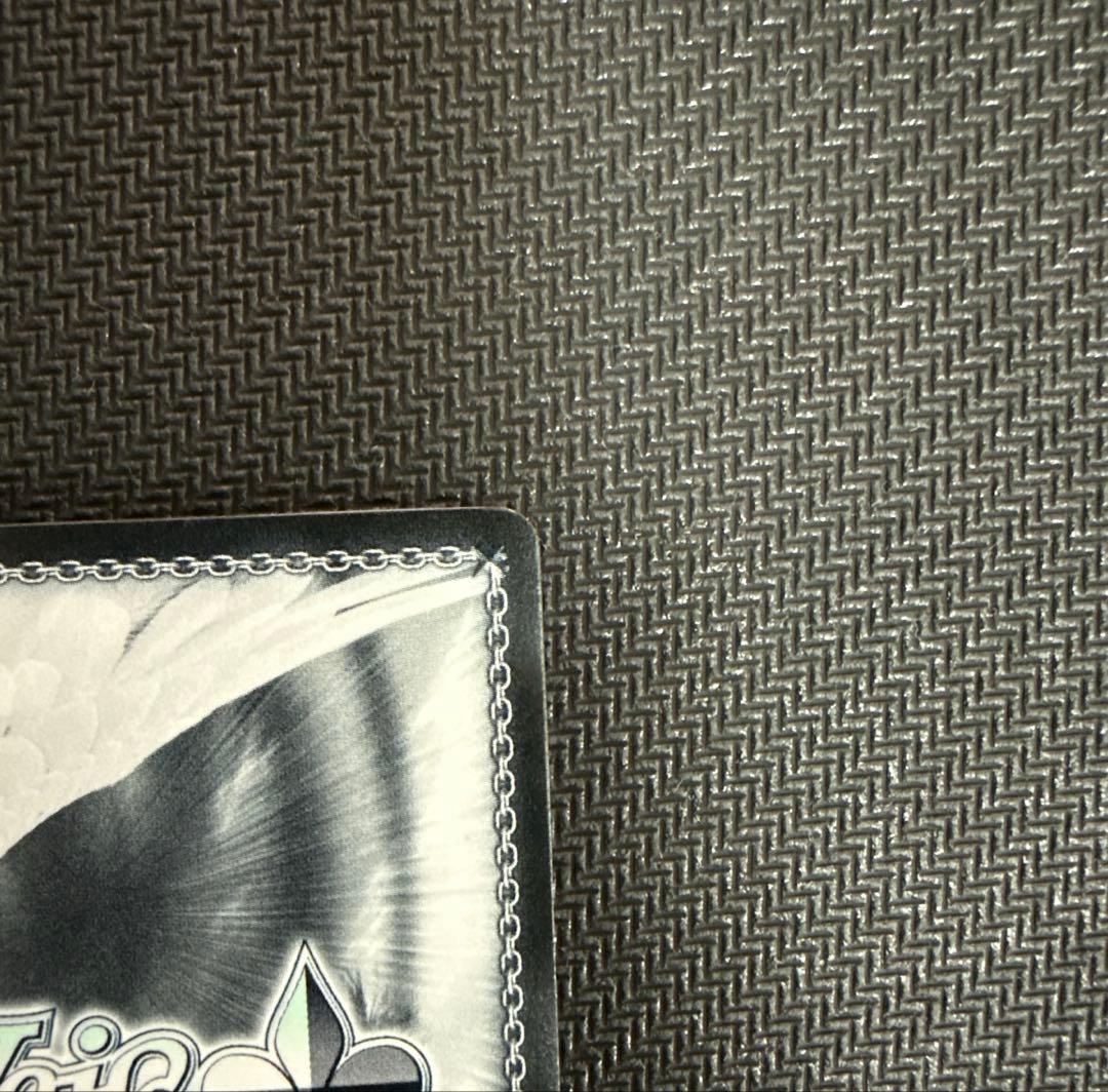 ヴァイスシュヴァルツ　精神的露出狂　アーリャ　SP サイン 角川スニーカー文庫