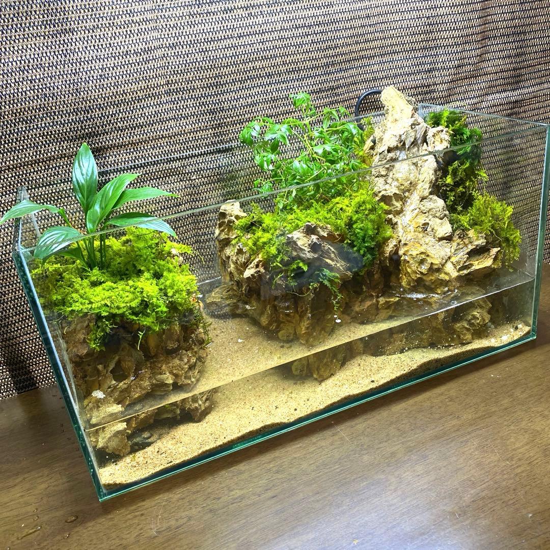 滝が流れるアクアテラリウム No.13