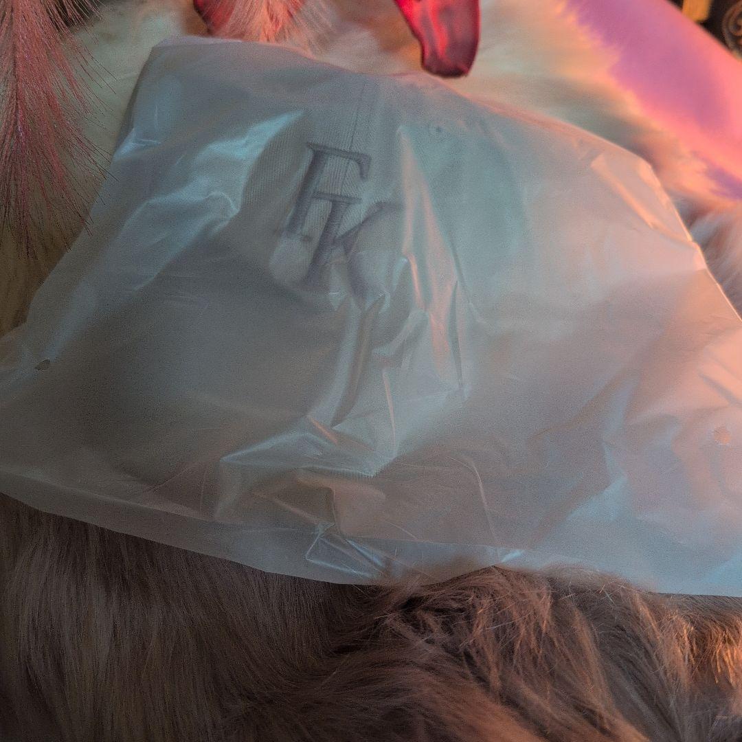 【新品未開封】藤井風　2025ツアーキャップ 藤井風 FKキャップ EU / NA TOUR 2025 Fujii Kaze - メルカリ