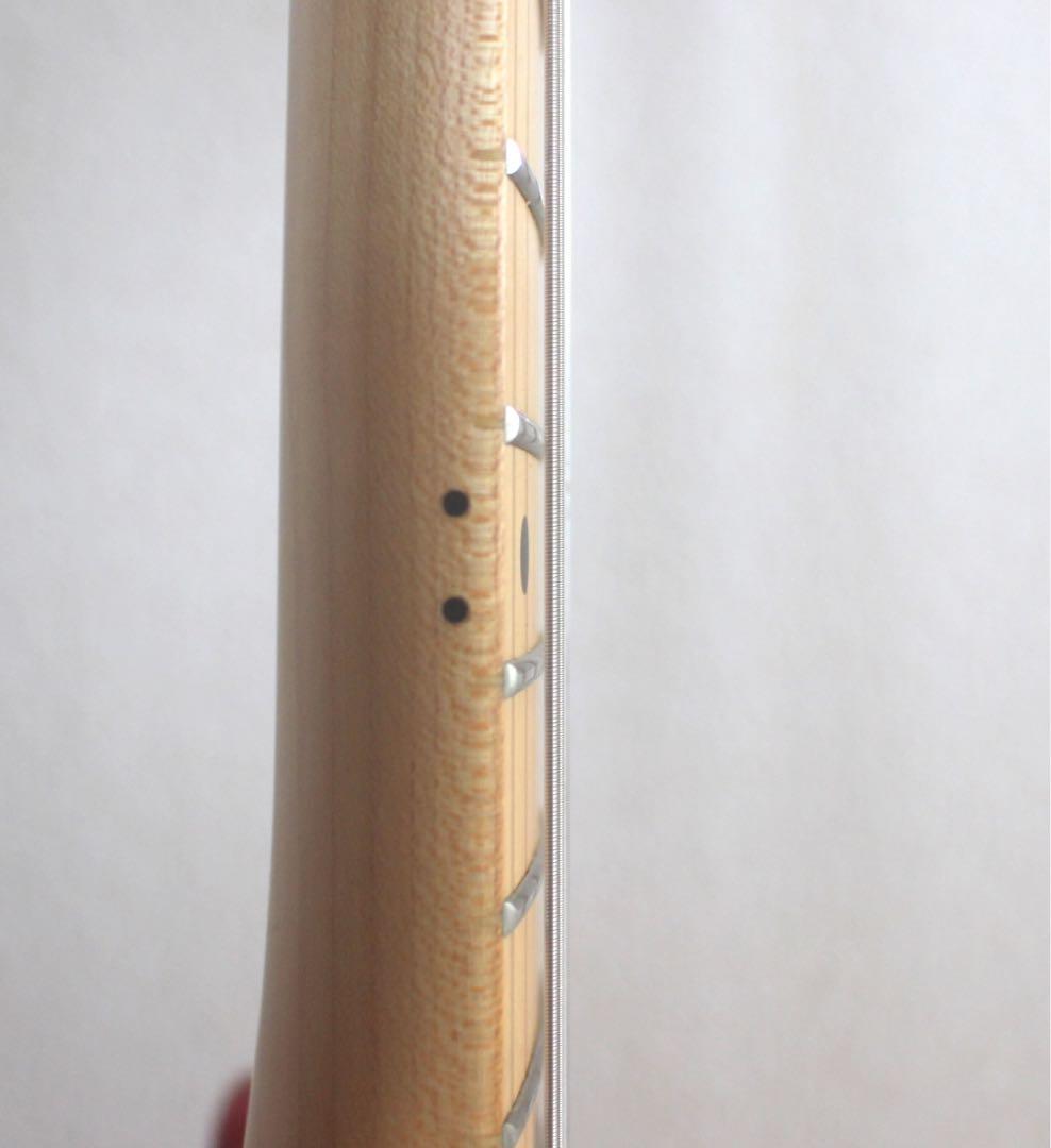 Fujigen FGNテレキャスター JTL-5M 日本製 J-Standard