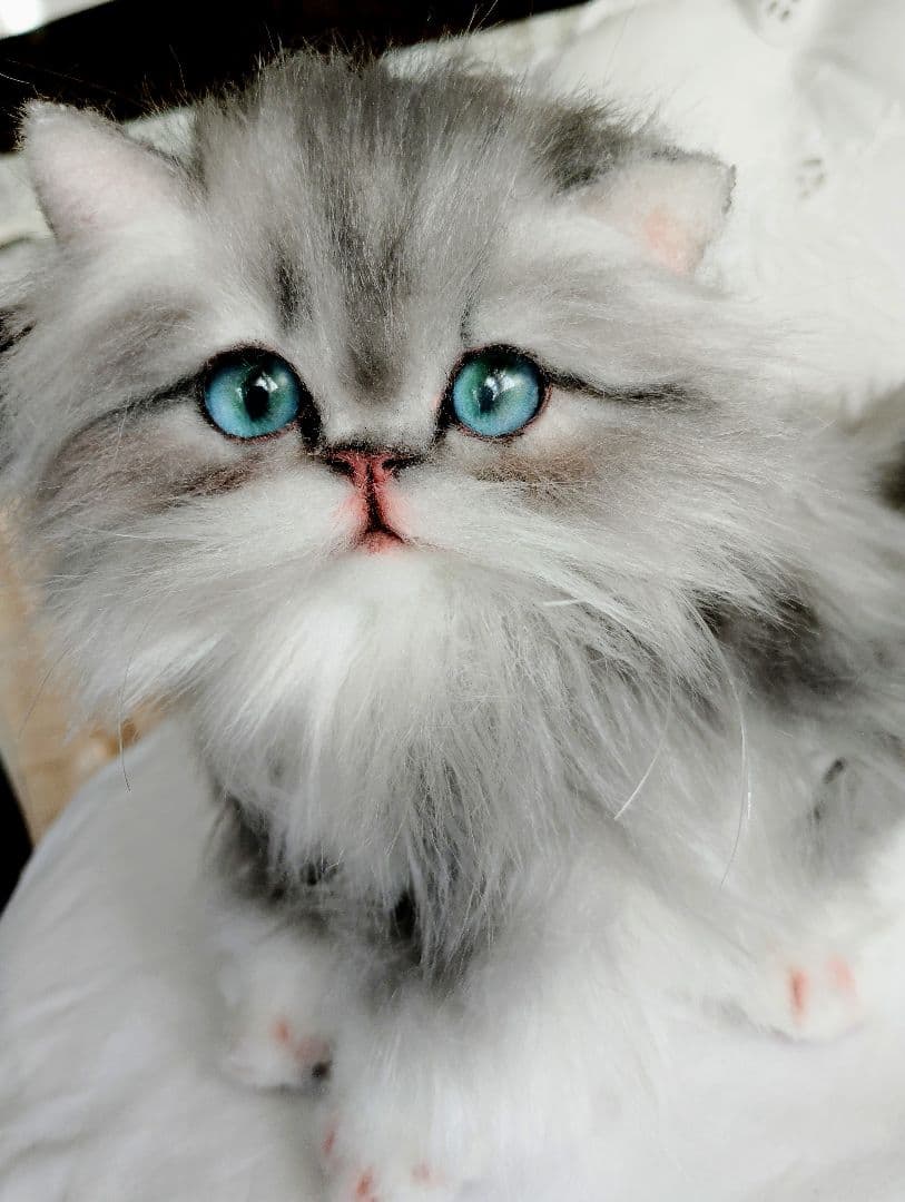 ミヌエット子猫ちゃん♡美人さん♡アートドール♡ぬいぐるみ♡大きめ