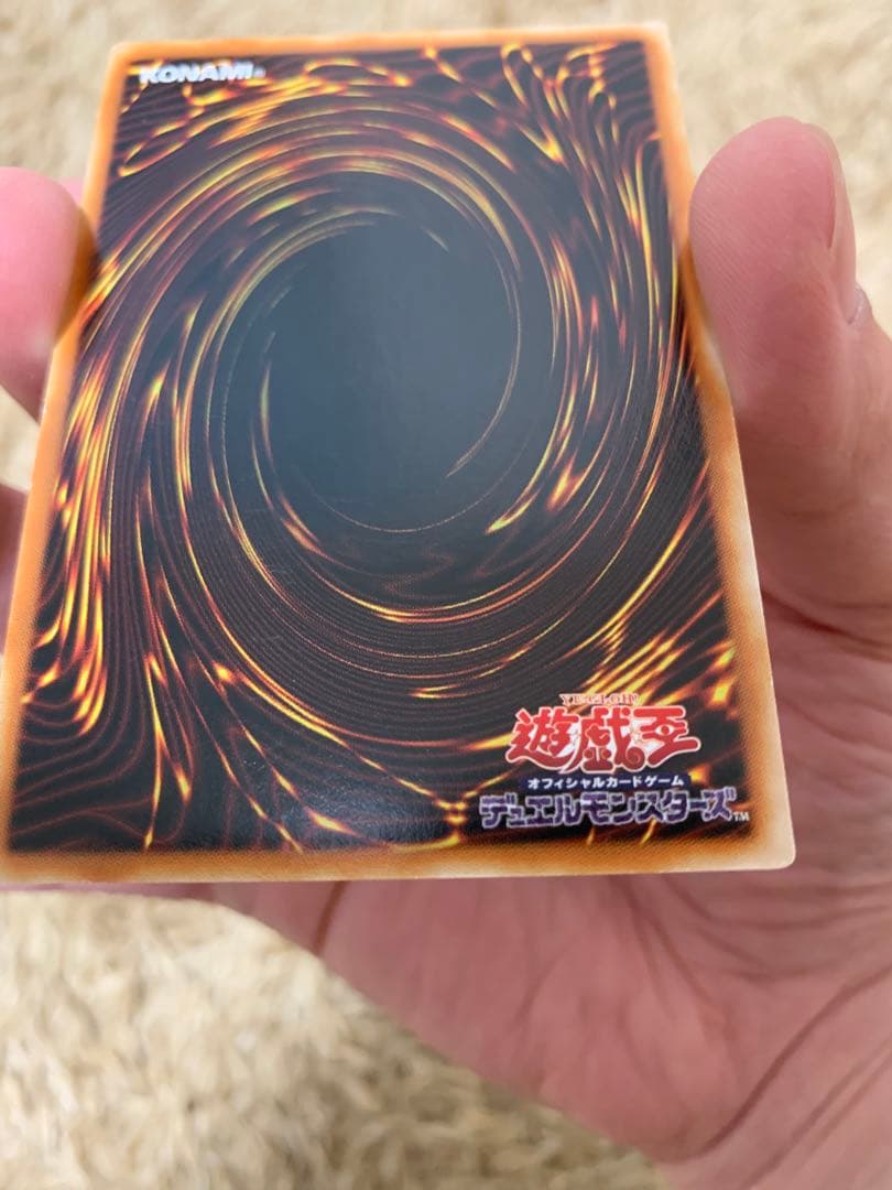 万物創世龍　アジア