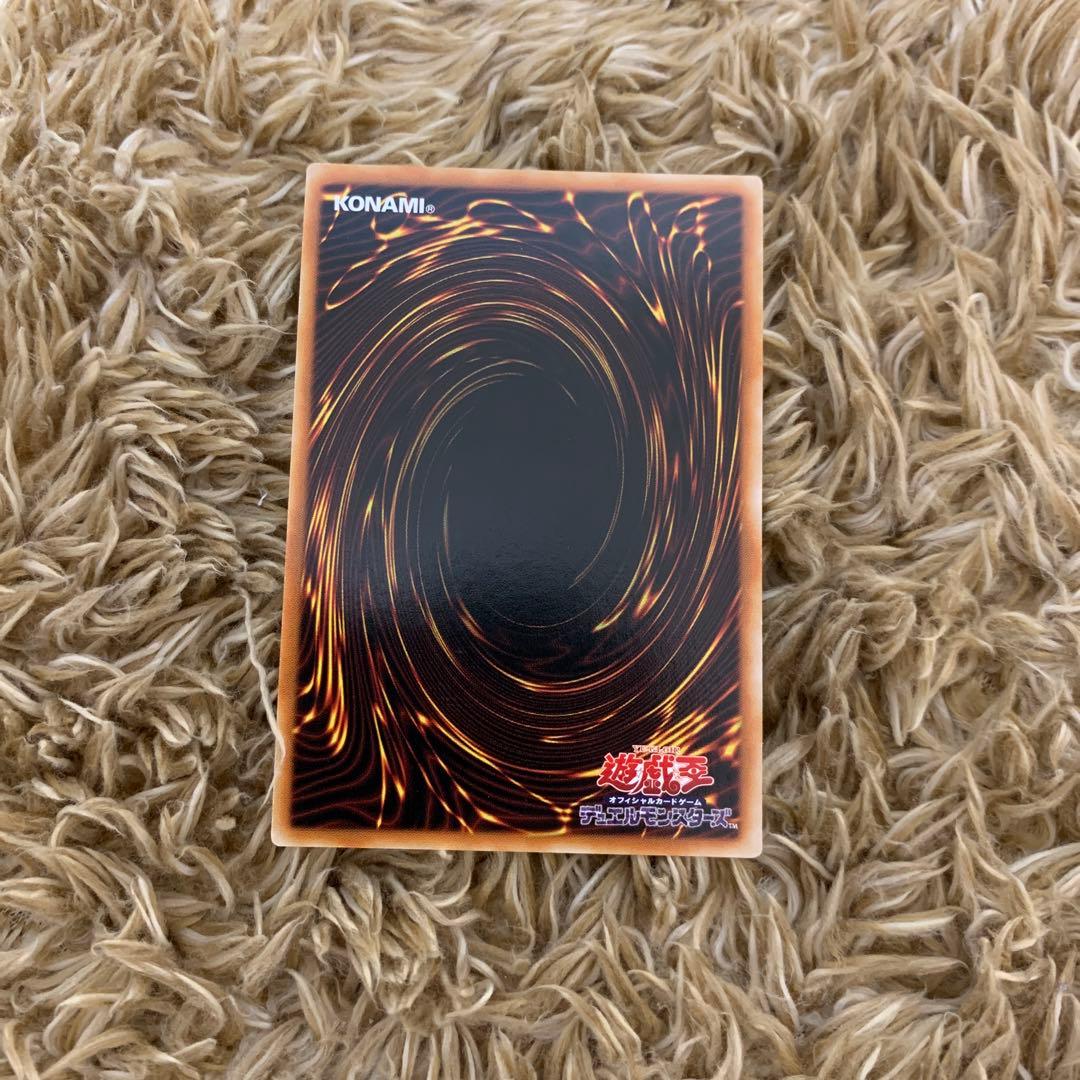 万物創世龍　アジア