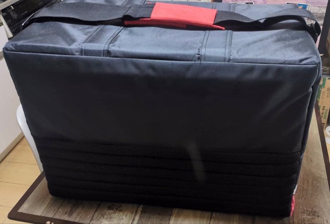 レーヴディー Reve D RC ビッグバッグ raved レーブD