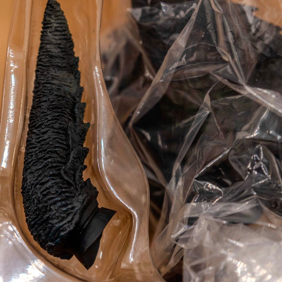 エクスプラス 大映特撮編 ガメラ1999 ダメージVer. ガメラ3 イリス覚醒