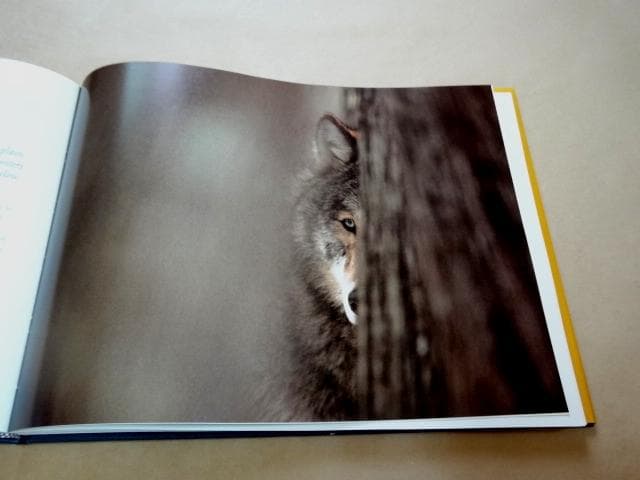 ☆ ジム・ブランデンバーグ 写真集 Brother Wolf ブラザー・ウルフ