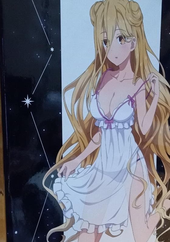 デート・ア・ライブIV とらのあな 全巻特典 描き下ろし 収納BOX 星宮六喰