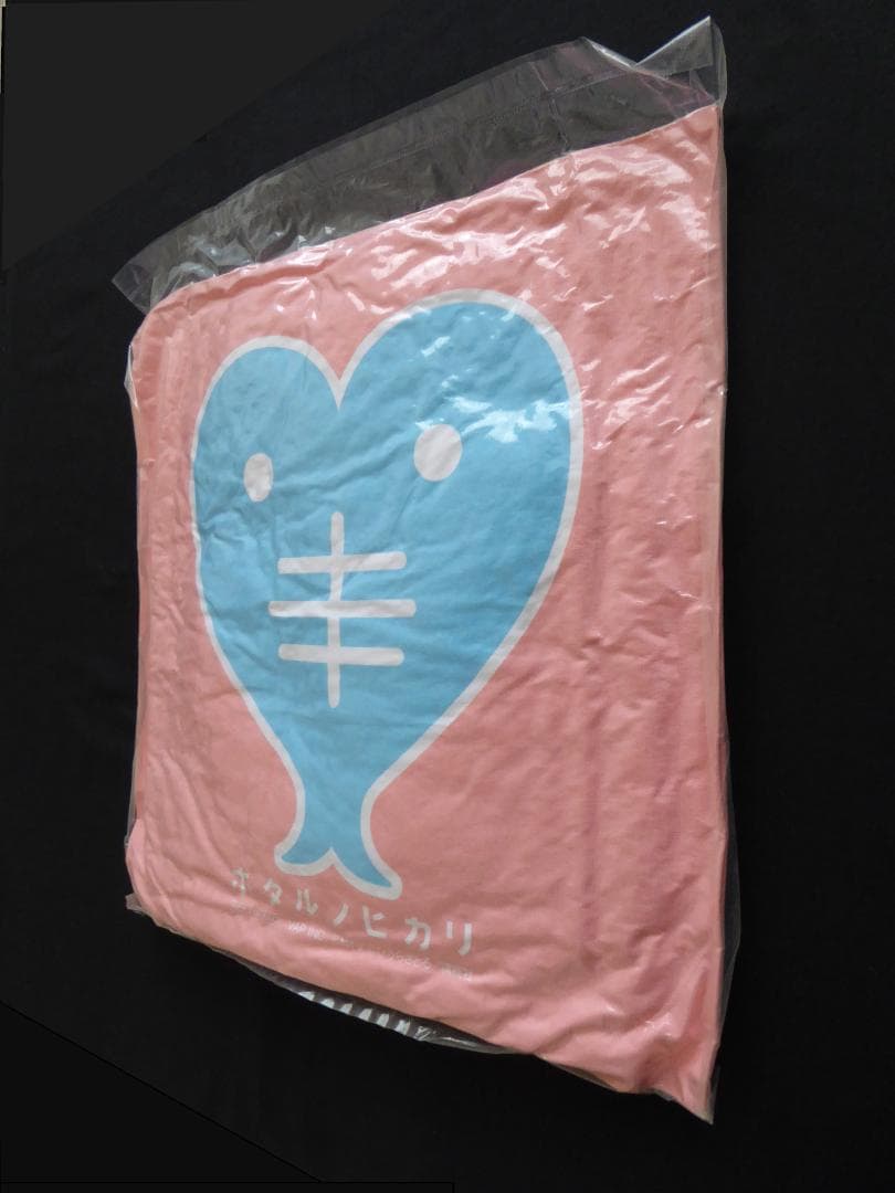 レア非売品!ドラマ/ホタルノヒカリ『オリジナルひものクッション』綾瀬はるか/新品