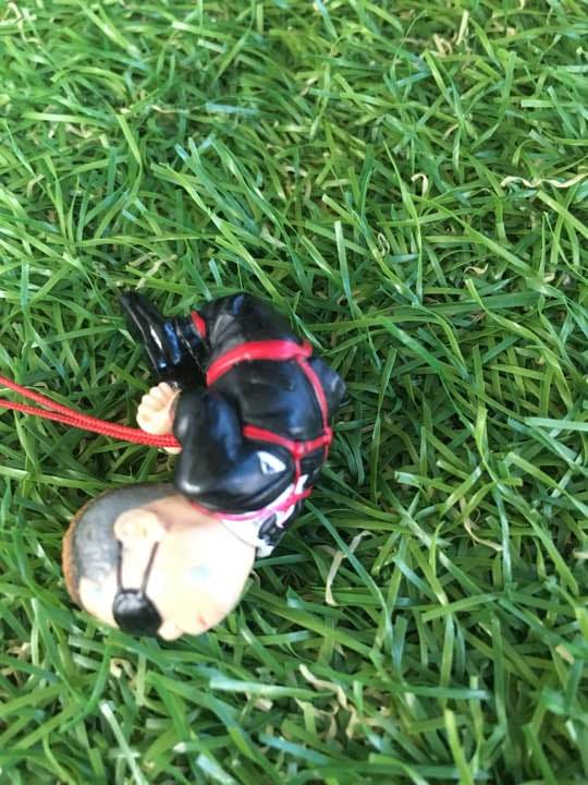 亀甲縛り 出川哲朗