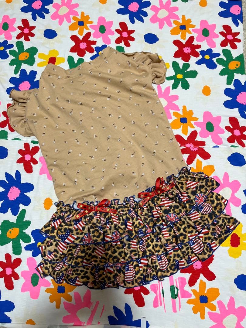 犬服 S わんこの普段着グレープドット