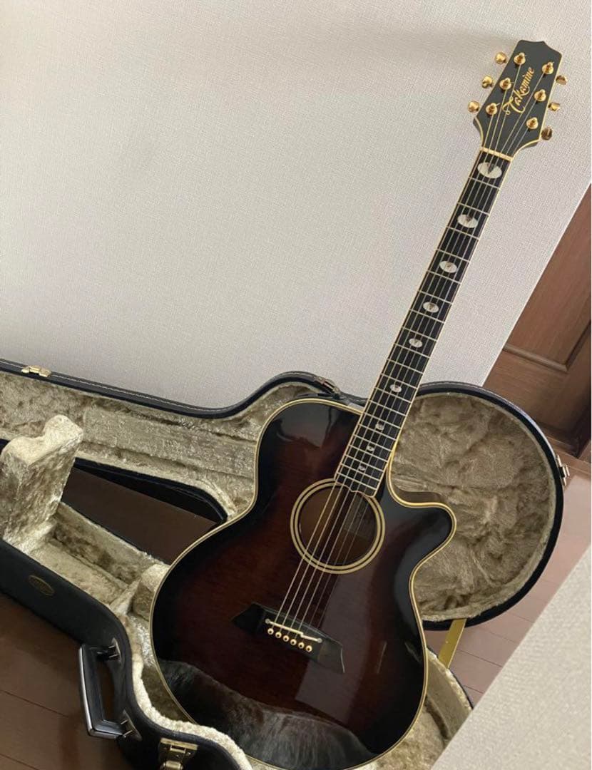 新版】 タカミネ NPT-115 エレアコ ハードケース付き 【7863576099】