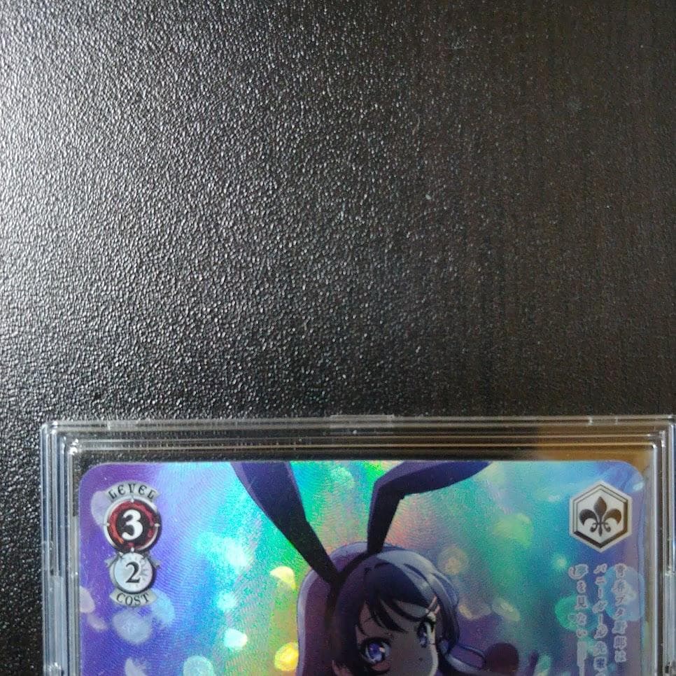 希少】青ブタ 泡沫の存在 桜島麻衣 SP 海外Ver - メルカリ