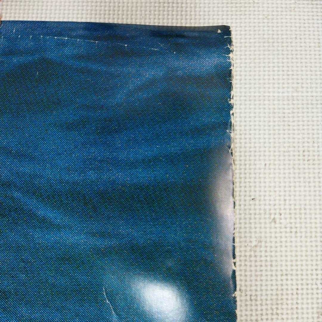 資生堂 　セリア・キャロン　特大ポスター この夏　その気