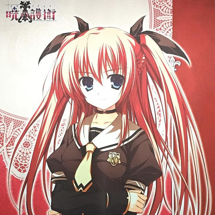 暁の護衛 二階堂麗華 タペストリー 9本セット 【稀少品】