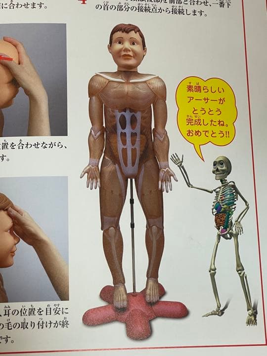 アーサーくん 体のふしぎ