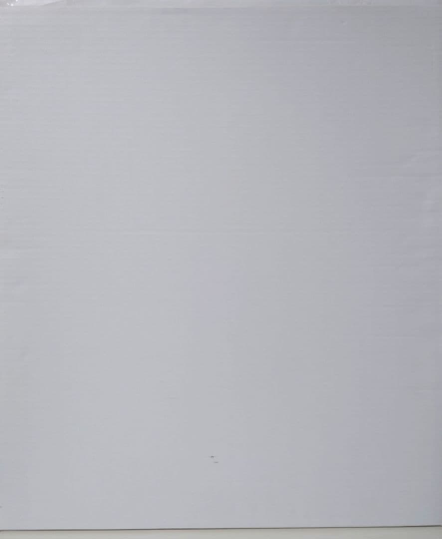 推しの子 複製原画 赤坂アカ 横槍メンゴ サイン入り 赤坂アカの世界展