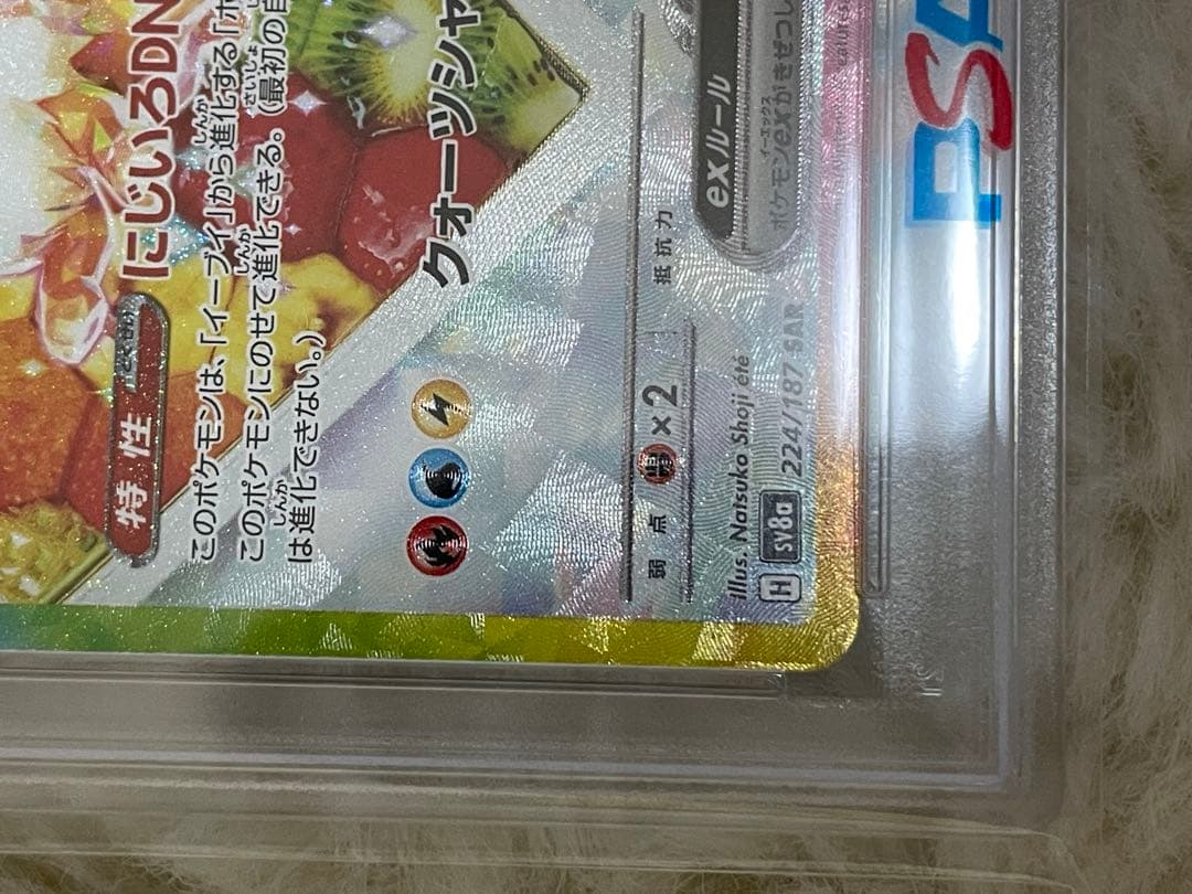 PSA10 EEVEEex イーブイEX 2024 ポケモンカード SAR