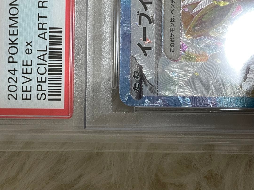 PSA10 EEVEEex イーブイEX 2024 ポケモンカード SAR