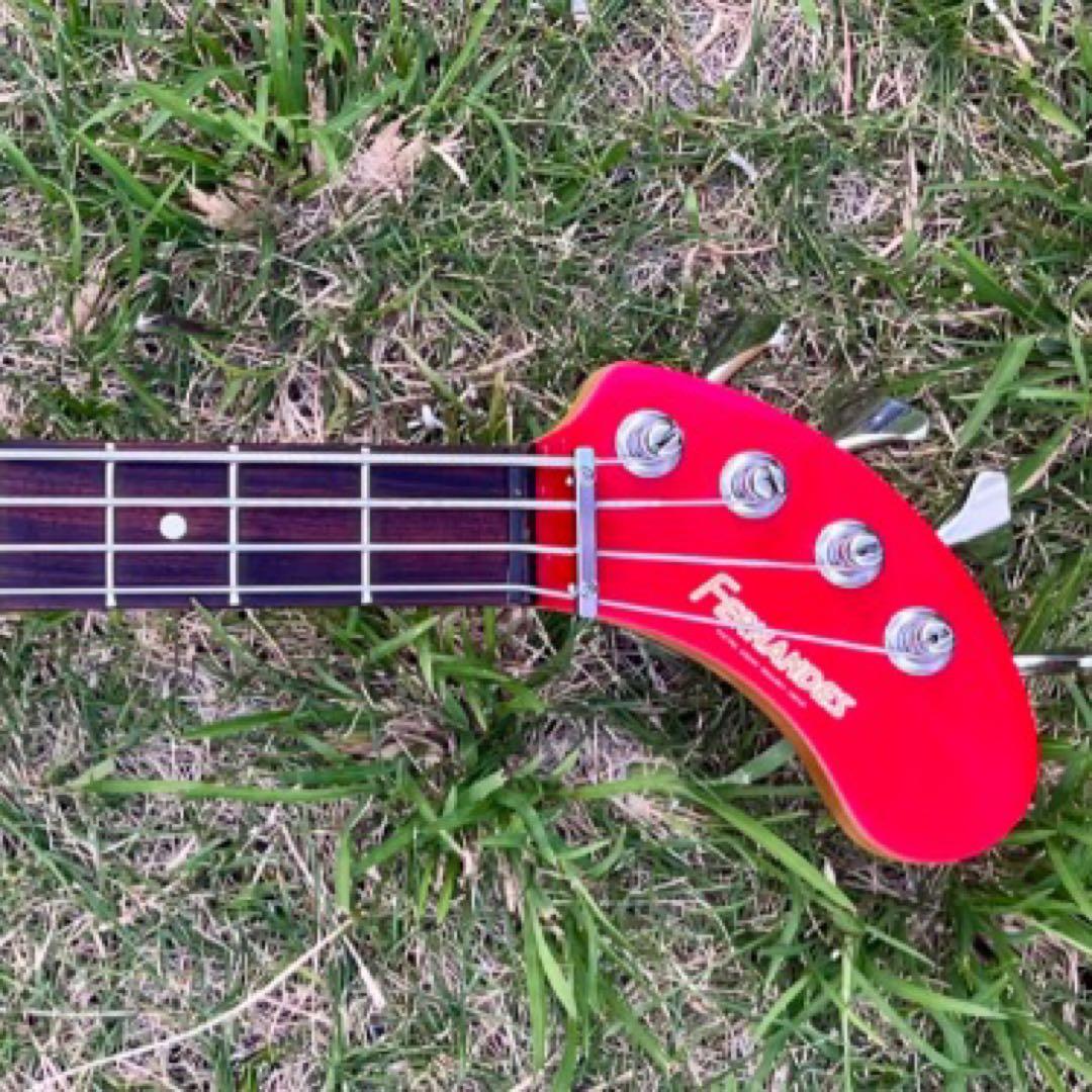 レア】 ZO-3 ベース PIE-ZO☆ケース付き☆アンプ内蔵音出しOK