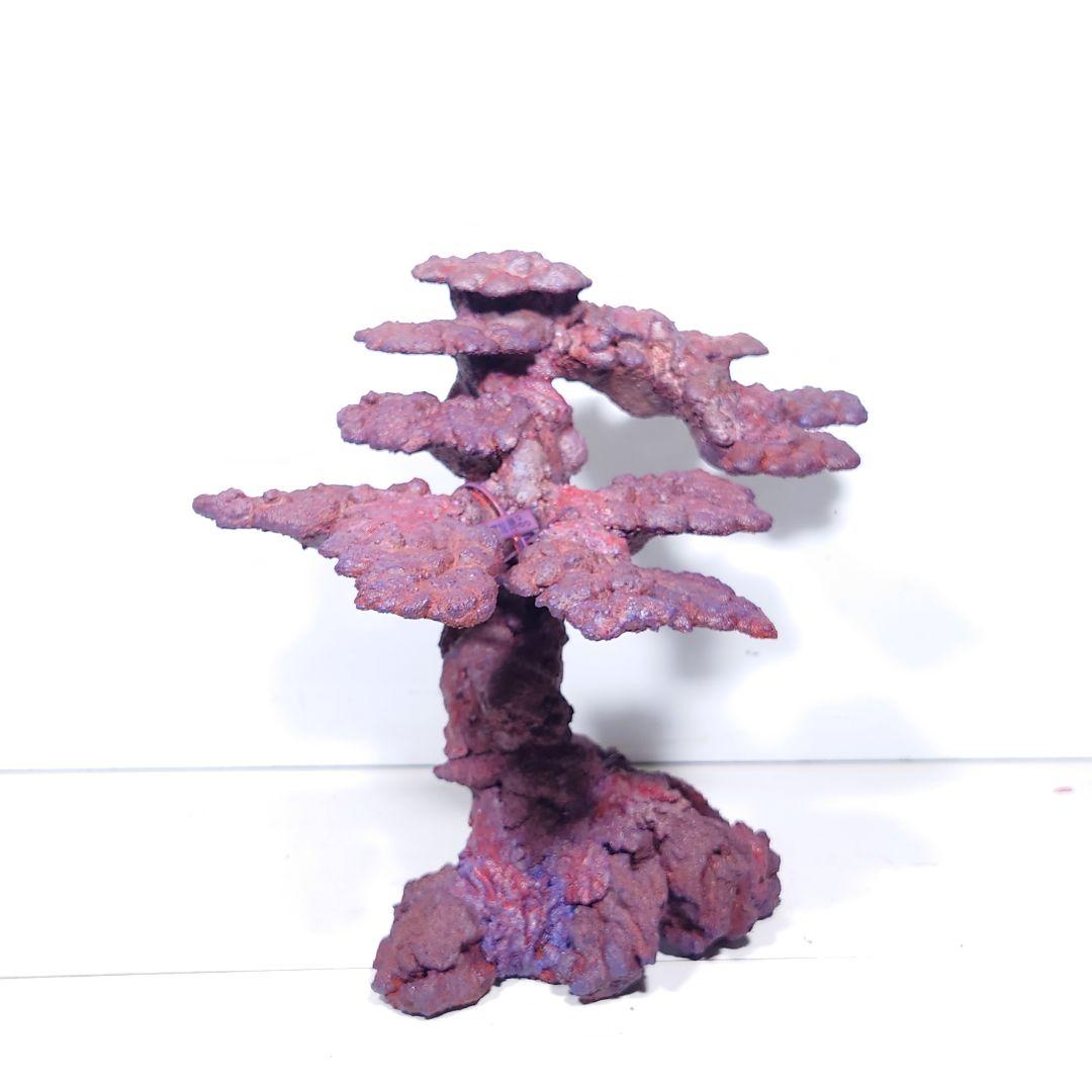 人工ライブロック《ZN-008》