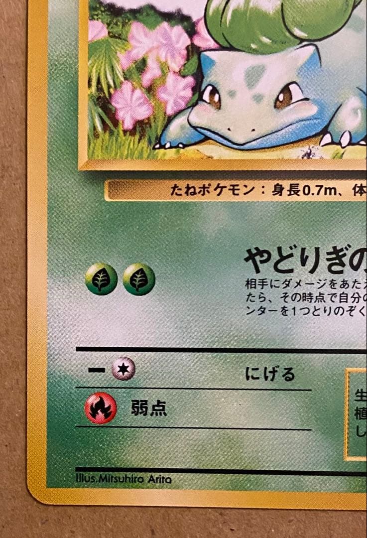 フシギダネ 旧裏 No.001 ポケットモンスターカードゲーム 再販 1996