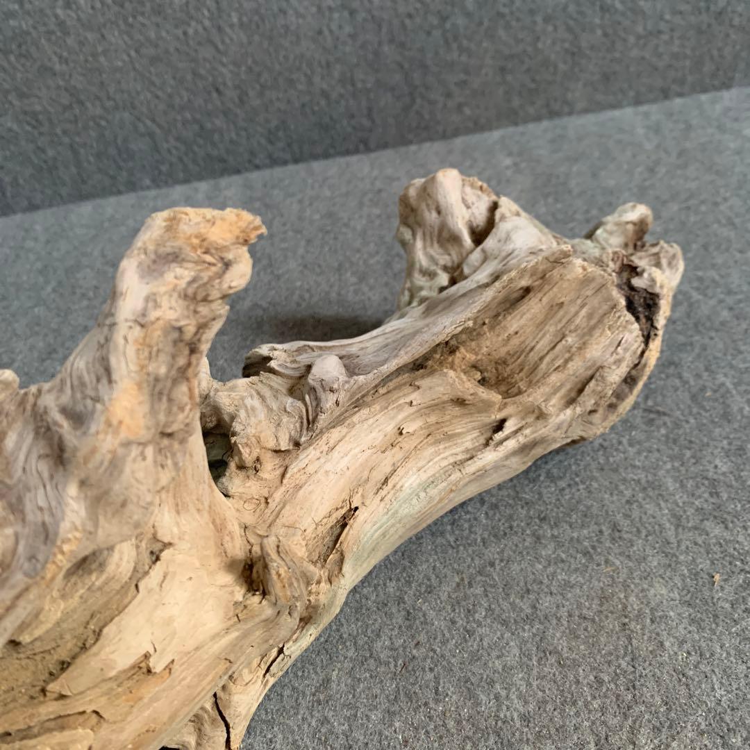 アク抜き済み流木 No.097 2個セット - メルカリ