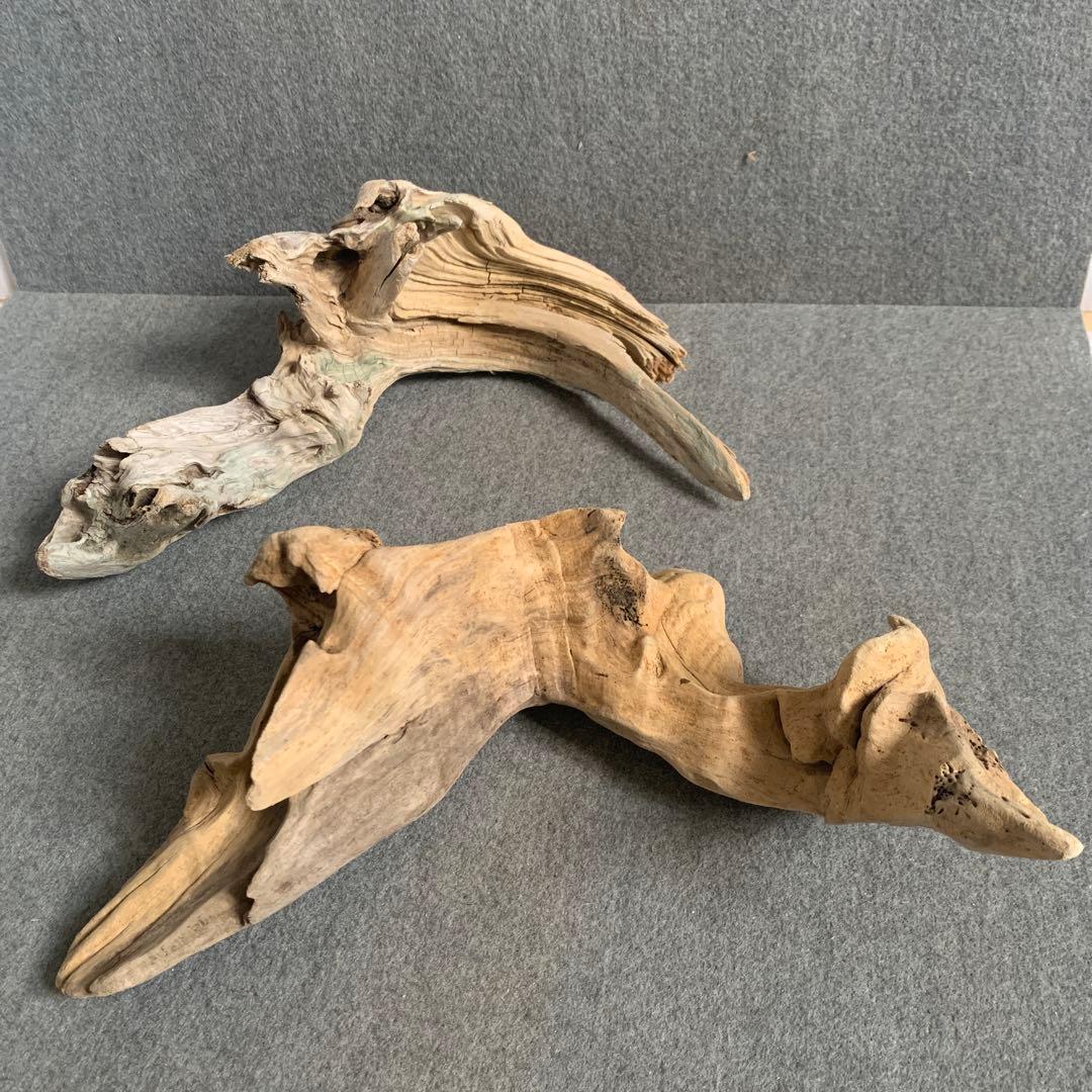 アク抜き済み流木 No.097 2個セット - メルカリ