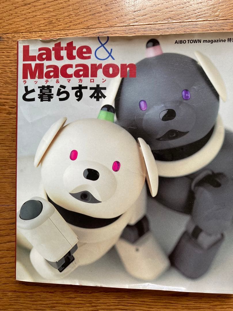 AIBOアイボ☆ラッテ☆中古ジャンク☆箱・取扱説明書&ラッテマカロンと